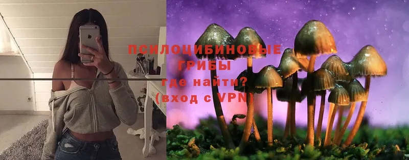 магазин продажи   Жирновск  Галлюциногенные грибы MAGIC MUSHROOMS 